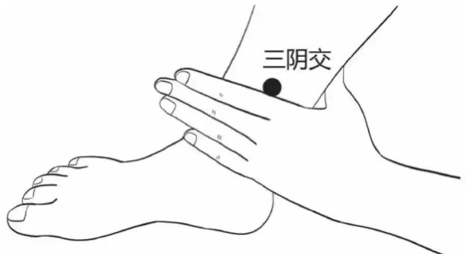 三陰交