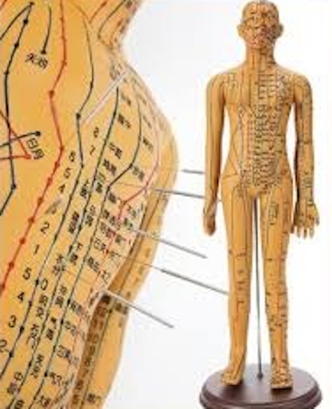 【東洋医学】自律神経失調症は脳の栄養不足｜タオル1本で整える「会陰」刺激法｜木もれび鍼灸院