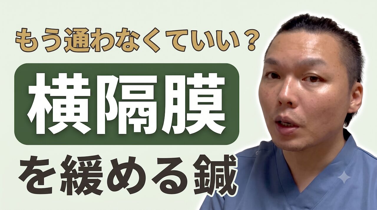 検査で異常なしの不調に｜横隔膜からアプローチする鍼灸｜木もれび鍼灸院