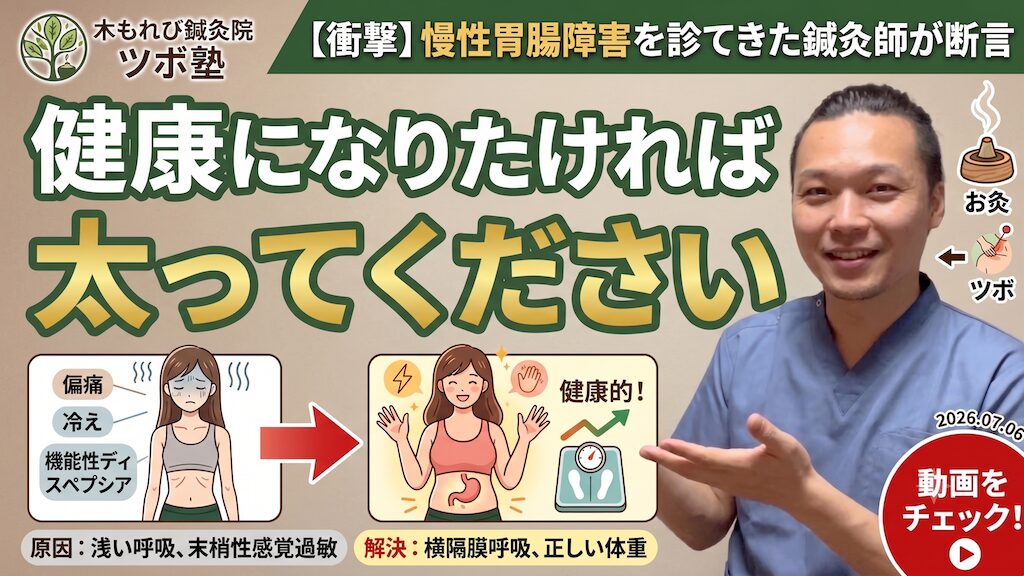 痩せすぎと自律神経の不調｜25年の臨床知見｜木もれび鍼灸院