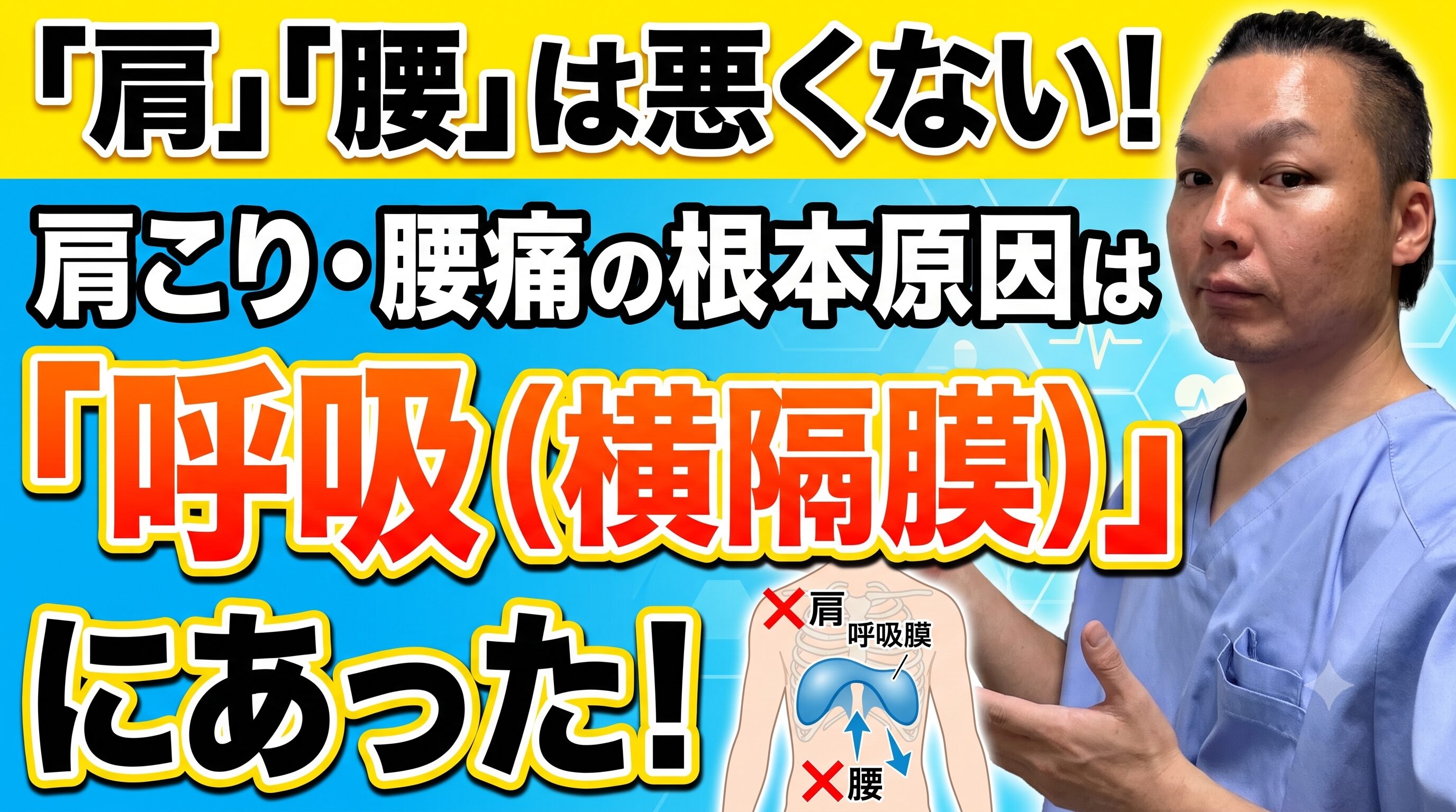 【横隔膜刺鍼】呼吸筋「横隔膜」から肩こり腰痛を見直す｜木もれび鍼灸院