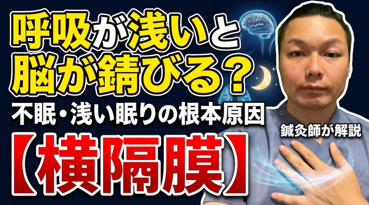 【横隔膜刺鍼】呼吸が浅いと眠れない？横隔膜ケアで整える快眠習慣｜木もれび鍼灸院