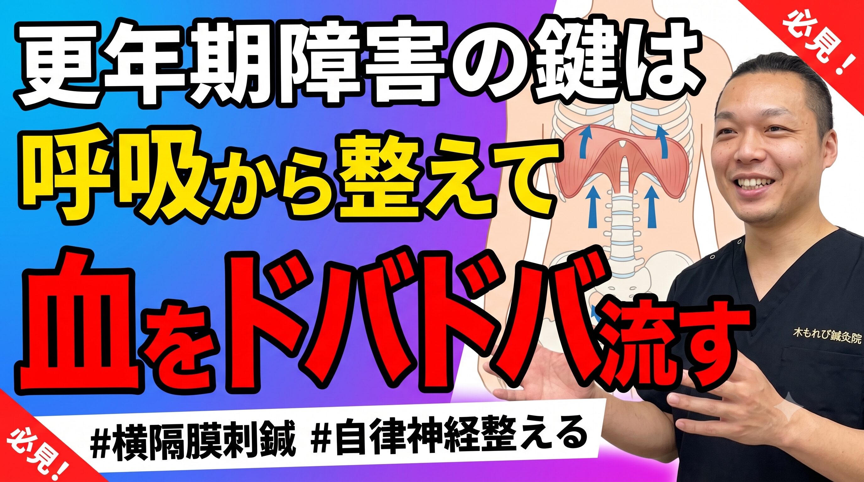 【横隔膜刺鍼】更年期の不調は呼吸から｜呼吸で整える木もれび鍼灸院