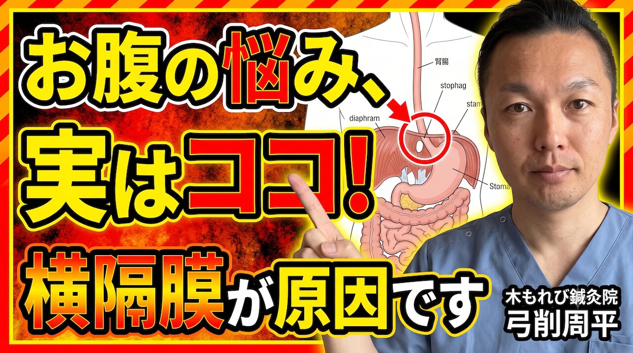 検査で異常なしの腹部症状に｜横隔膜刺鍼という選択肢｜木もれび鍼灸院