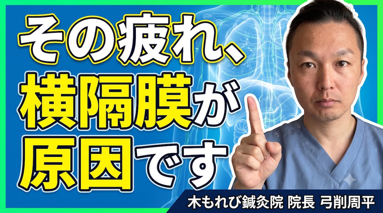 検査は正常なのにだるい｜脾臓のリンパうっ滞と横隔膜刺鍼