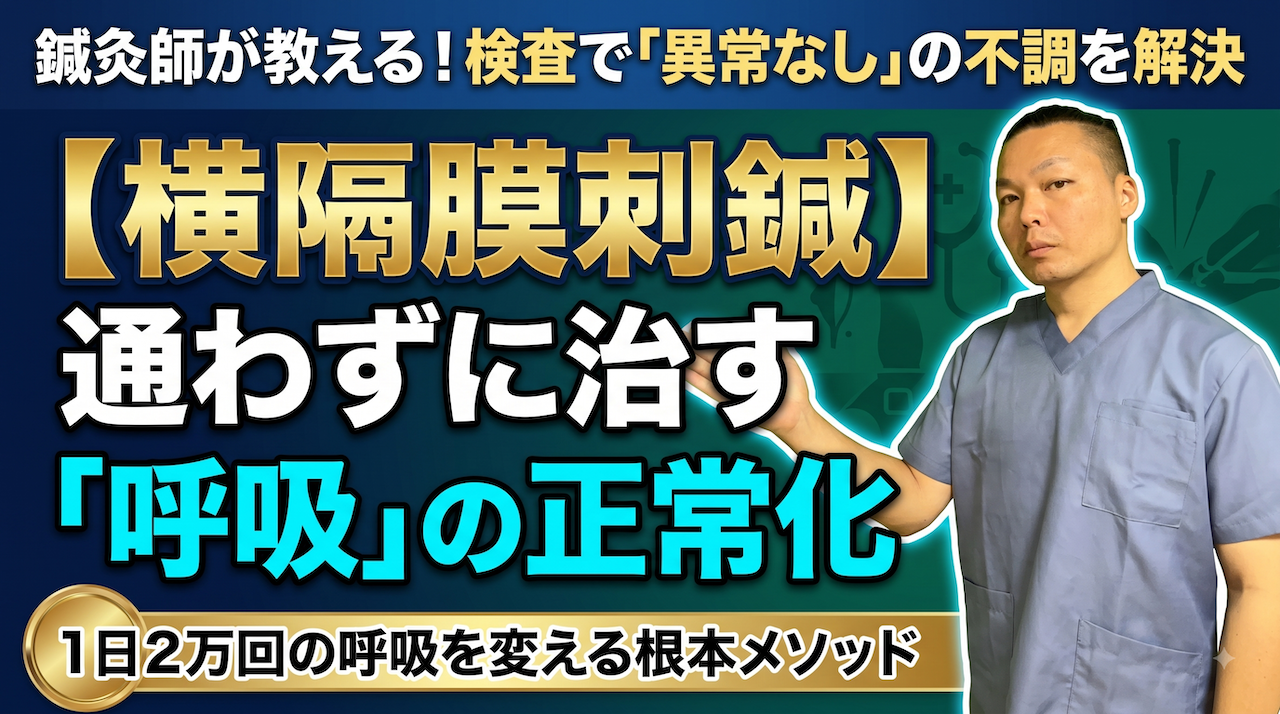 横隔膜刺鍼｜検査で異常なしの不調｜横隔膜と呼吸から診る鍼灸｜木もれび鍼灸院
