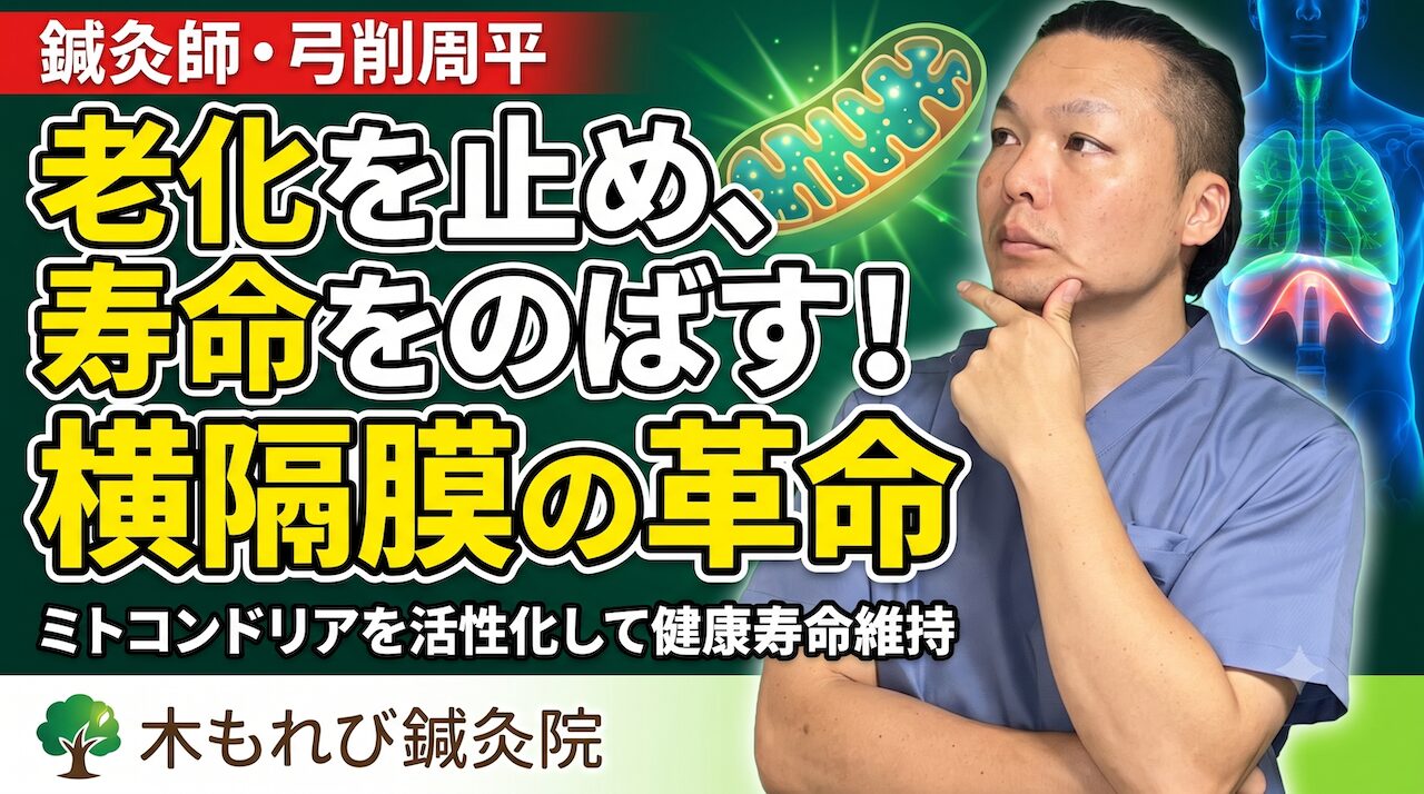 【横隔膜刺鍼】なぜ120歳まで生きられないのか｜横隔膜と寿命の話