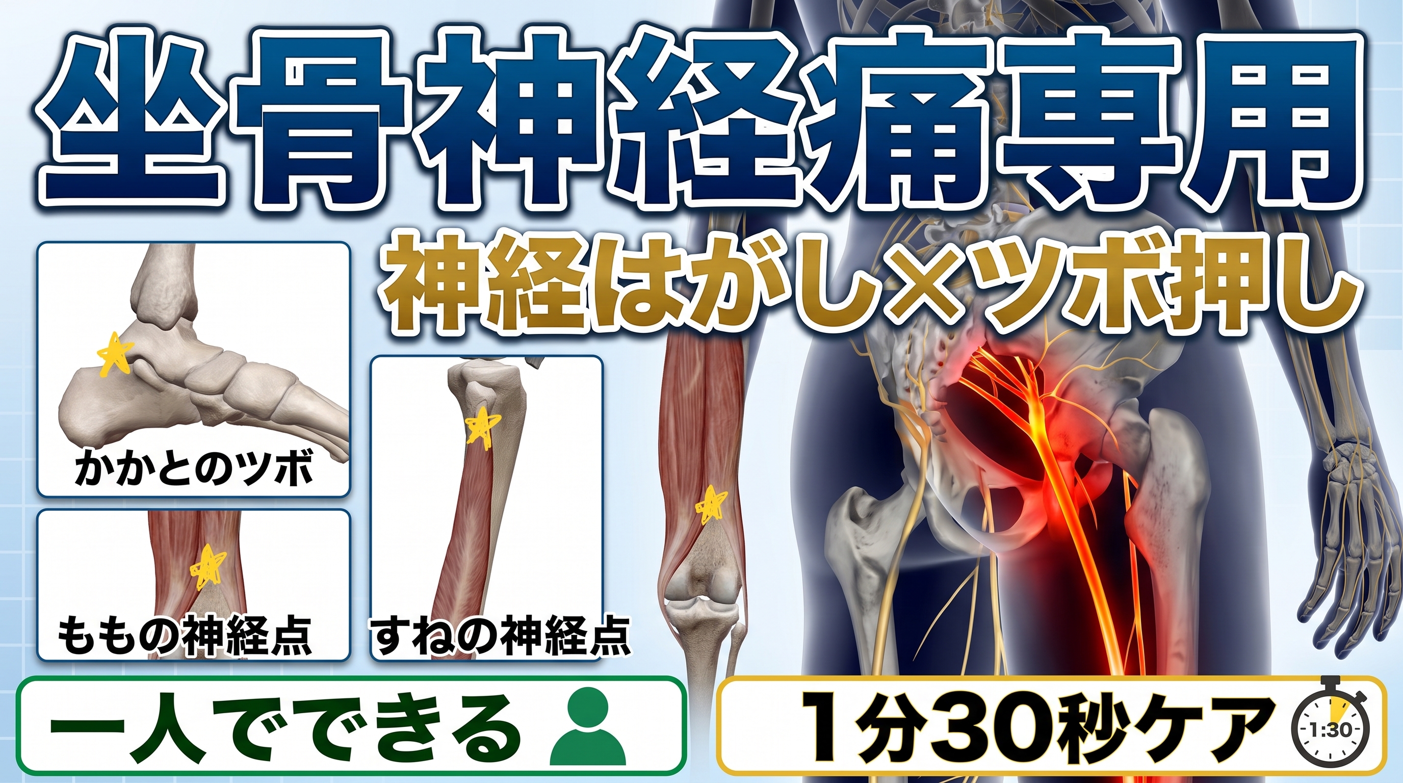 坐骨神経痛に効く3つのツボ｜ツボ押し✕神経はがし｜大阪池田の鍼灸師が解説